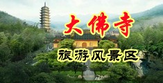 狼友8x8x中国浙江-新昌大佛寺旅游风景区